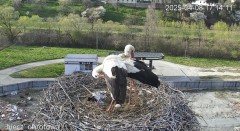 IMG_5102.jpeg