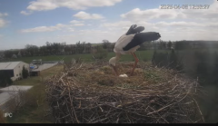 2025-04-08 20_31_16-Bociany - Raszków - YouTube - Maxthon.png