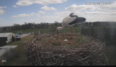 2025-04-08 20_31_39-Bociany - Raszków - YouTube - Maxthon.png