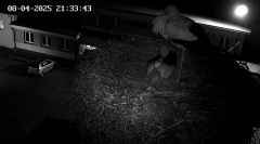 IMG_5144.jpeg