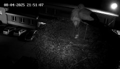 IMG_5159.jpeg