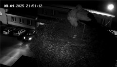 IMG_5160.jpeg