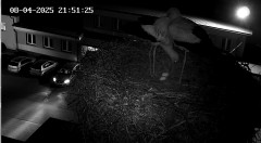 IMG_5163.jpeg