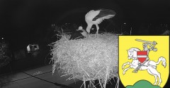 IMG_5169.jpeg
