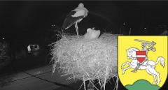 IMG_5184.jpeg