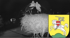 IMG_5191.jpeg