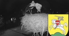 IMG_5196.jpeg