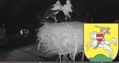 IMG_5198.jpeg