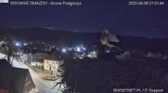 IMG_5201.jpeg