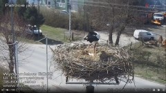 d3379d82-00bd-4930-8728-2999123f054b.jpeg