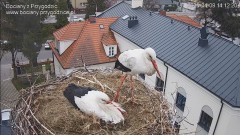 IMG_5806.jpeg