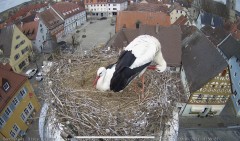 IMG_5822.jpeg
