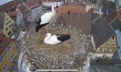 IMG_5825.jpeg