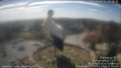 palowice-2025-04-09-2.png