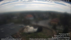 palowice-2025-04-09-5.png