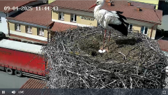 2025-04-09 11_45_31-Polikat S.A. Bociany - Maxthon.png