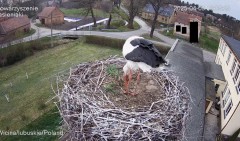 IMG_5833.jpeg