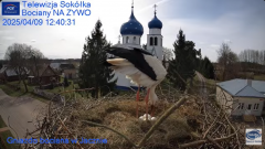 2025-04-09 20_47_28-Gniazdo Bocianie - Telewizja Sokółka [NA ŻYWO] _ IP Camera_ Stork's nest [LIVE] .png