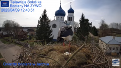 2025-04-09 20_47_48-Gniazdo Bocianie - Telewizja Sokółka [NA ŻYWO] _ IP Camera_ Stork's nest [LIVE] .png