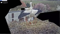 IMG_5272.jpeg
