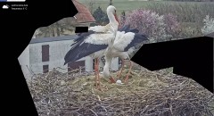 IMG_5273.jpeg