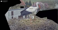 IMG_5276.jpeg