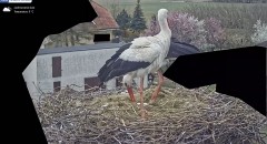 IMG_5277.jpeg