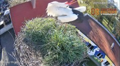 IMG_5287.jpeg