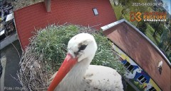 IMG_5302.jpeg