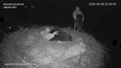 22:24:54 Jańcia urodziła
