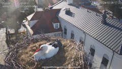 IMG_5863.jpeg