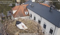 IMG_5903.jpeg