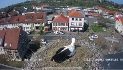 IMG_5883.jpeg