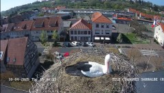 IMG_5892.jpeg
