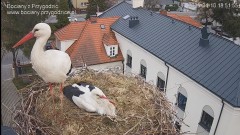 IMG_5906.jpeg