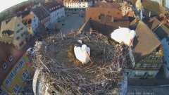 IMG_5907.jpeg