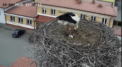 2025-04-10 21_08_43-20250410_172539.mp4 ‎- Starsza wersja aplikacji Zdjęcia.png