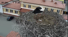 2025-04-10 21_09_04-20250410_172539.mp4 ‎- Starsza wersja aplikacji Zdjęcia.png