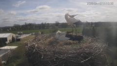 2025-04-10 22_50_42-Bociany - Raszków - YouTube - Maxthon.png