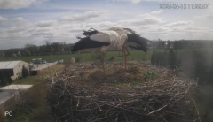 2025-04-10 23_26_33-Bociany - Raszków - YouTube - Maxthon.png