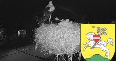 IMG_5755.jpeg