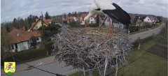 IMG_5943.jpeg