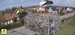 IMG_5951.jpeg