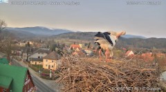 IMG_5869.jpeg
