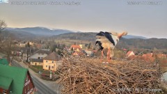 IMG_5870.jpeg