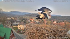 IMG_5872.jpeg