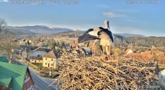 IMG_5874.jpeg