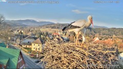 IMG_5875.jpeg