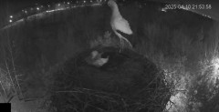 IMG_5741.jpeg