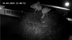 IMG_5698.jpeg